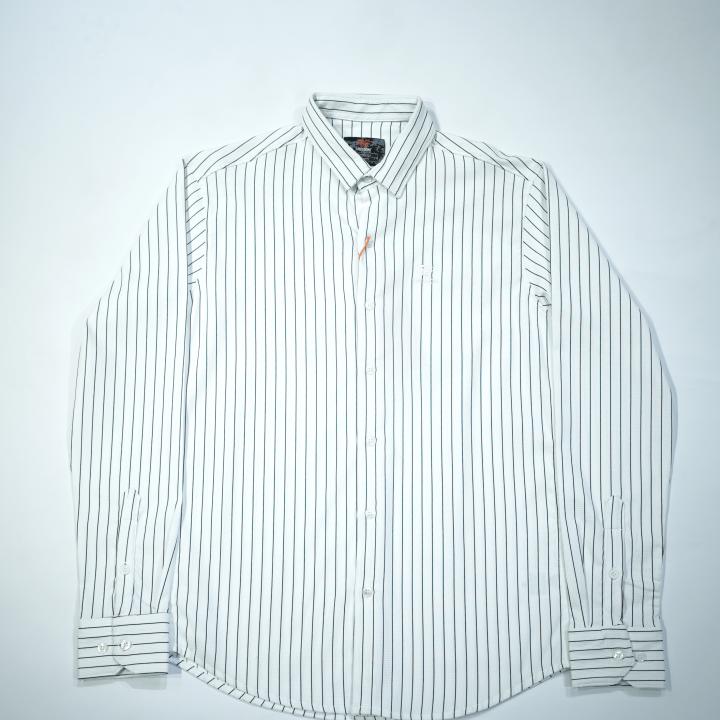 Pinstripe Button-Down Shirt